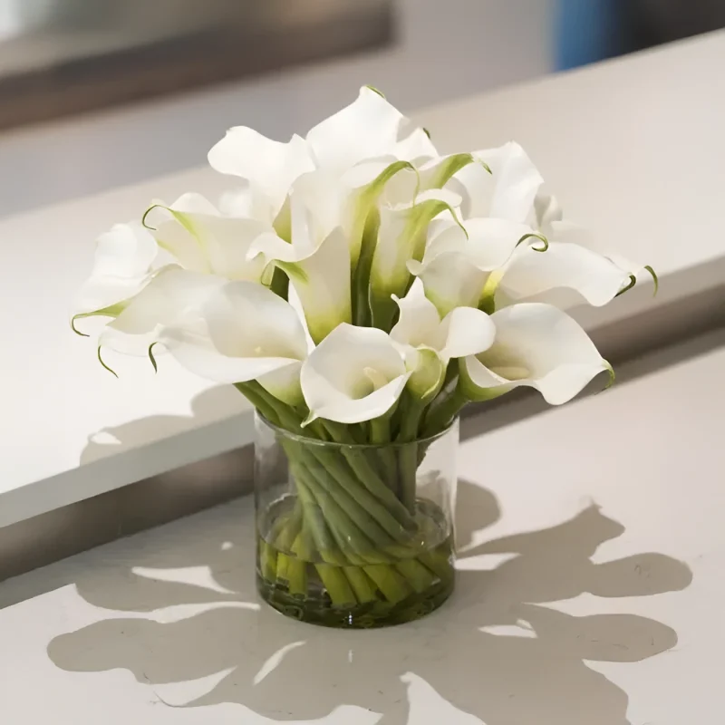 CLEAN CALLAS