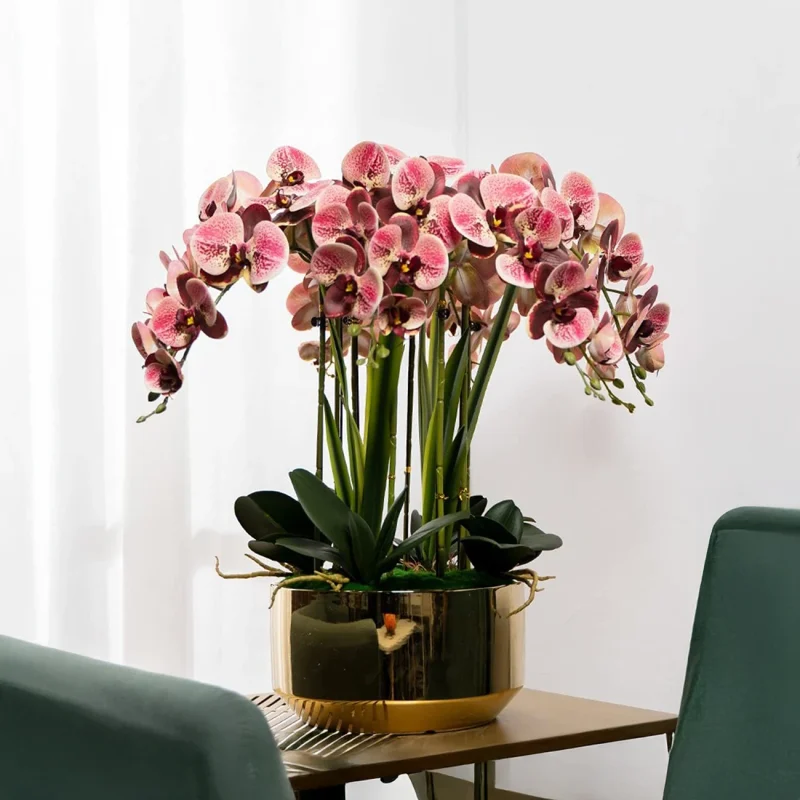 ORCHIDS 110