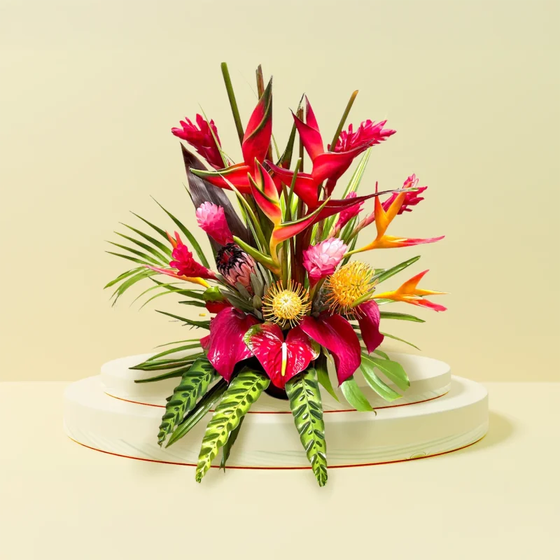 TROPICAL 103