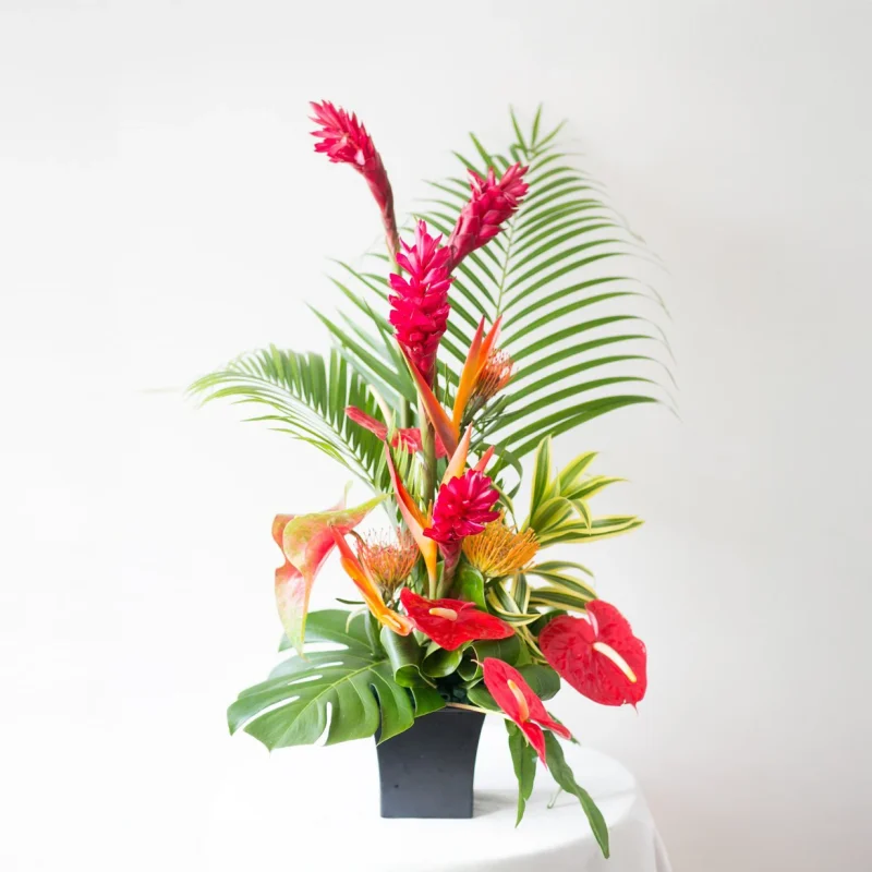 TROPICAL HEIGHTS