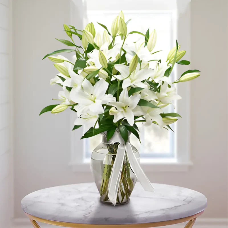WHITE 102