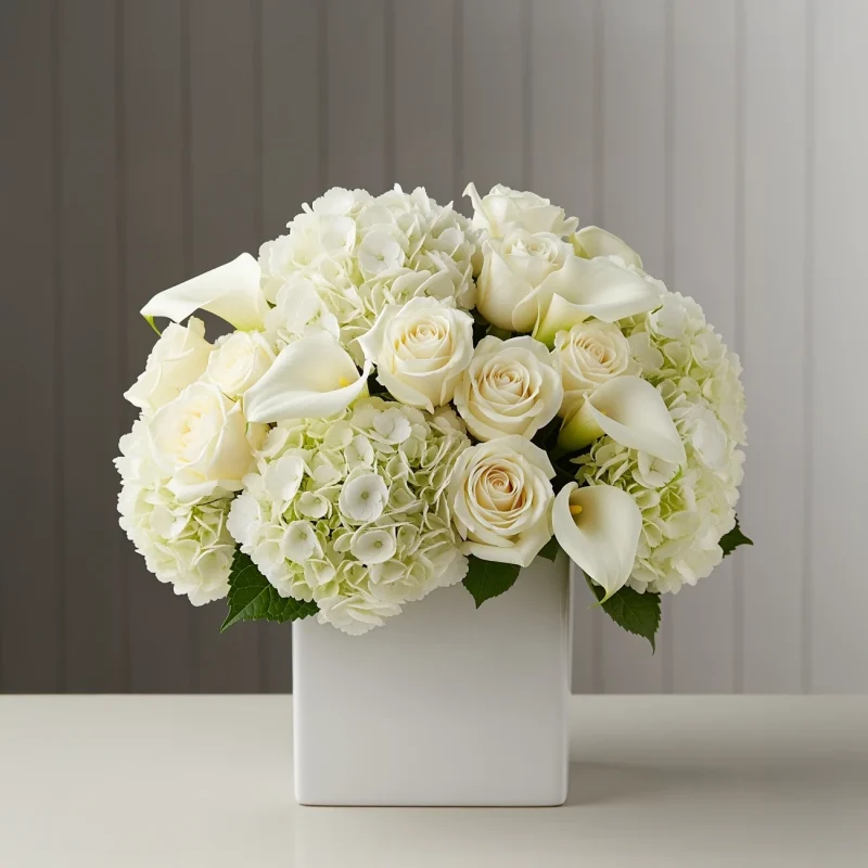WHITE 104